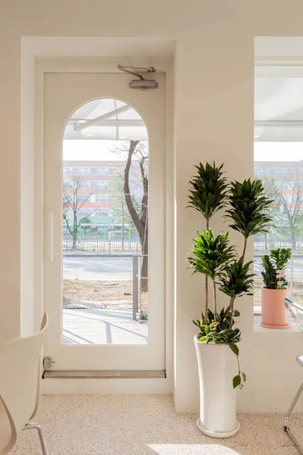 미라이키 이미지 10